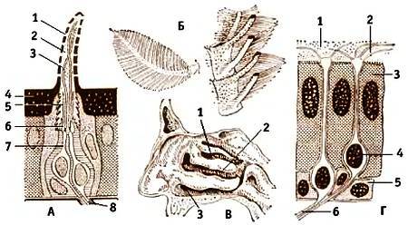 Юный техник, 2007 № 10 _34.jpg