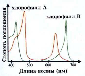 Юный техник, 2008 № 11 _16.jpg