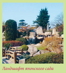 Китайский и японский сад i_011.jpg