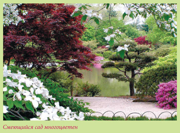 Китайский и японский сад i_024.jpg