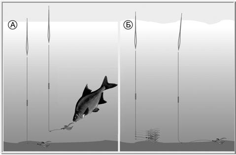Тактика ловли поплавочной удочкой _03.png