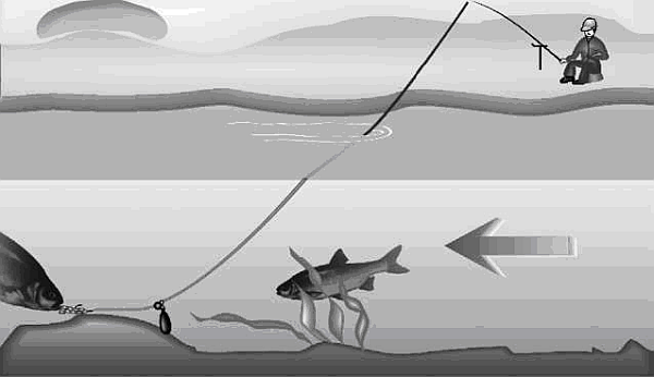 Как поймать рыбу донной снастью _03.png