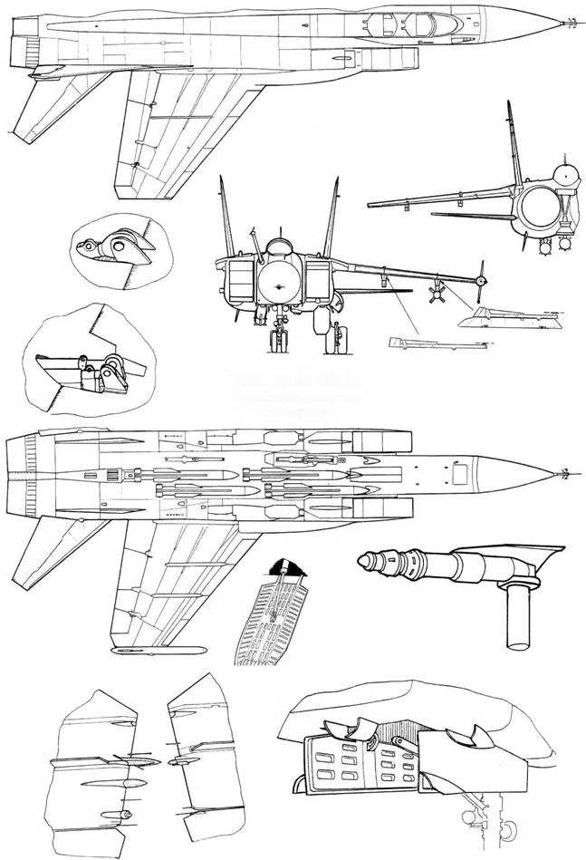 МиГ-31 Страж российского неба pic_52.jpg