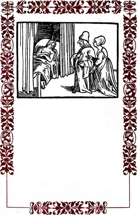 Немецкие шванки и народные книги XVI века i_008.jpg