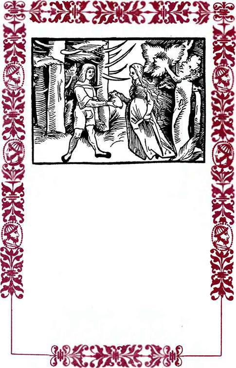 Немецкие шванки и народные книги XVI века i_013.jpg