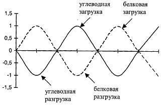 Питание мышц _40.jpg