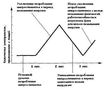 Питание мышц _67.jpg