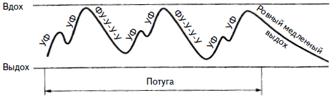 Гимнастика для женщин i_028.png