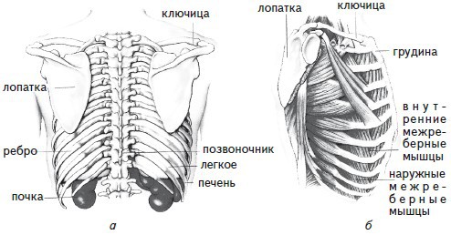 Как избавиться от боли в спине i_014.jpg