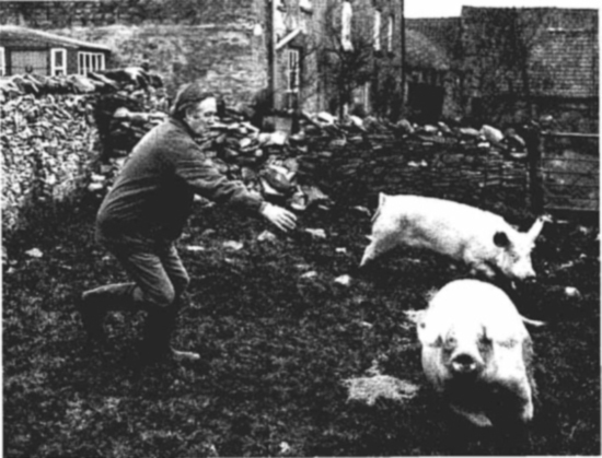 The Real James Herriot: A Memoir of My Father _32.jpg
