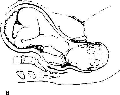 Оксфордский справочник для клиницистов _9.jpg