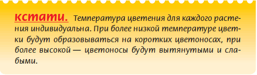 Луковичные растения _61.jpg