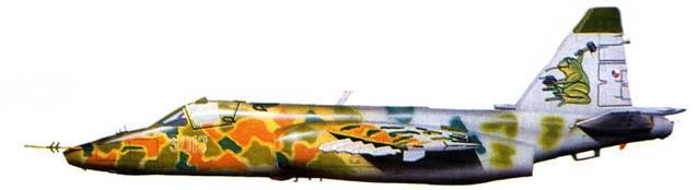 Су-25 «Грач» pic_124.jpg