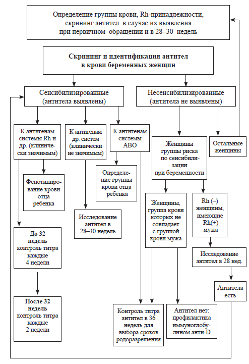 Изоиммунизация при беременности _7.jpg