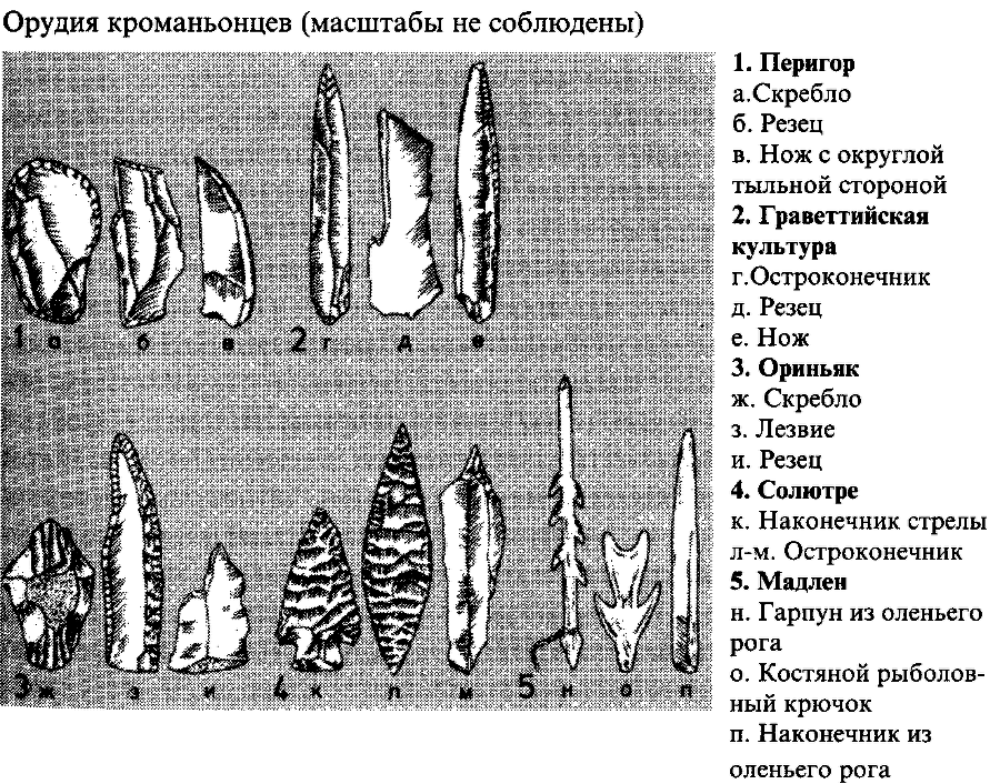 История и культурология i_004.png