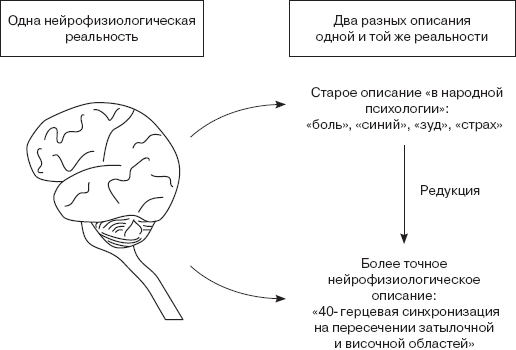 Психология сознания _4.jpg