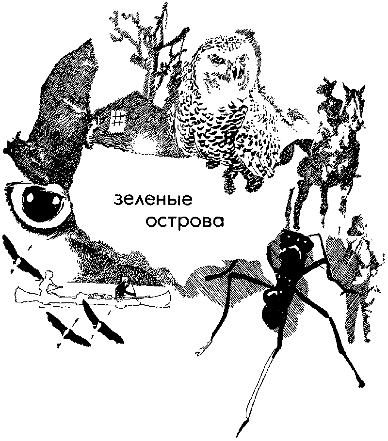 Земля за океаном pic400.png