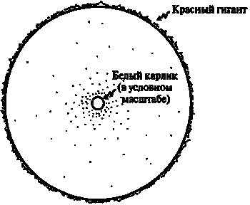 Новый ум короля: О компьютерах, мышлении и законах физики i_182.png