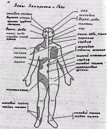 Здоровья вам хорошего _5.bmp