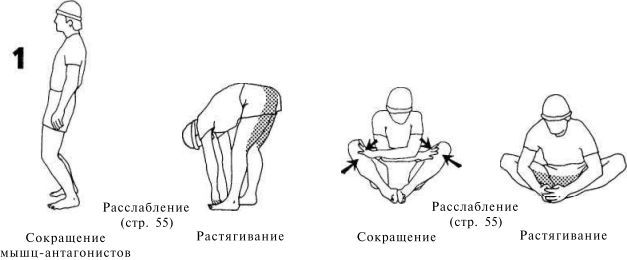 Растяжка для каждого img3CBA.jpg