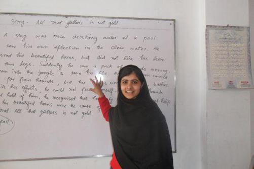 I Am Malala : The Girl Who Stood Up for Education and Was Shot by the Taliban _33.jpg