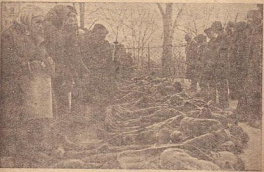 Зверства немцев над пленными красноармейцами p04.jpg