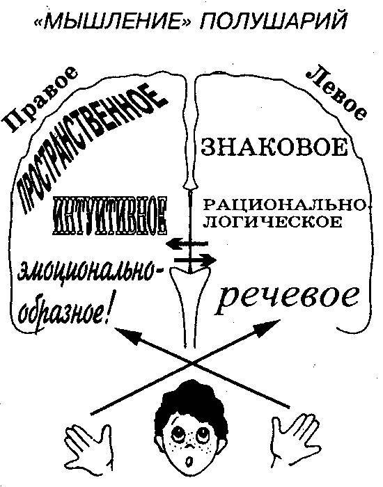 Рациональное мышление. Мышление правого полушария. Типы мышления полушарий. Мышление по полушариям. Мышление и полушария мозга.