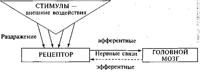 Юридическая психология. С основами общей и социальной психологии img_5.png