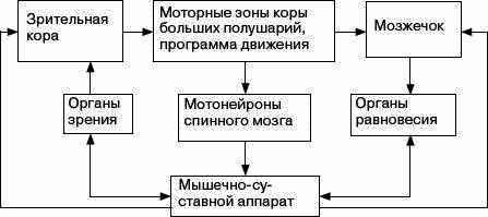 Человек в экстремальной ситуации i_011.png