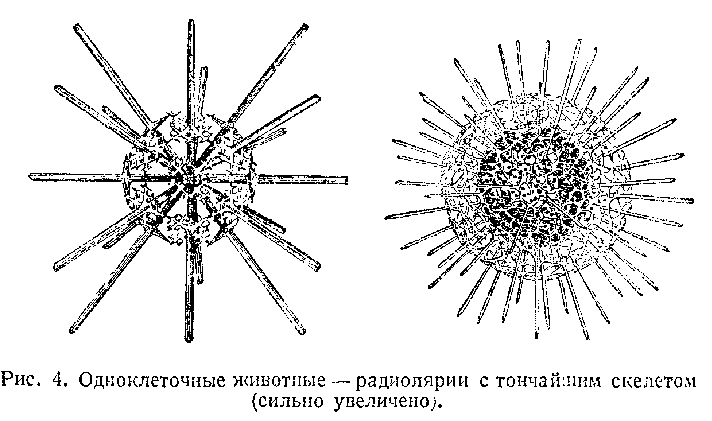 Подводный мир image_006.png