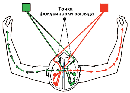 Как мы видим то, что видим img4721.png