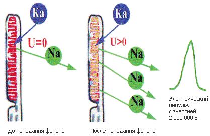 Как мы видим то, что видим imgC015.png