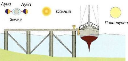 Яхтинг: Полное руководство pic_74.jpg