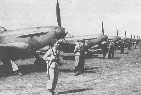 Черный крест и красная звезда. Воздушная война над Россией. 1941–1944 i_097.jpg