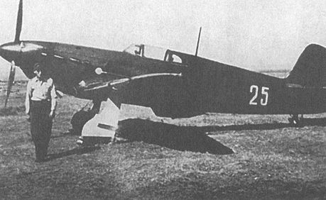 Черный крест и красная звезда. Воздушная война над Россией. 1941–1944 i_122.jpg