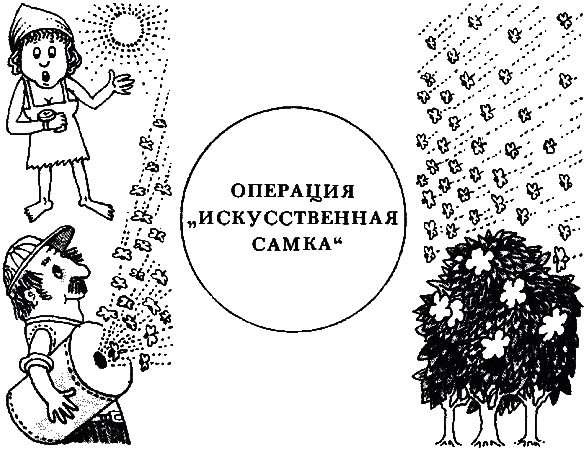 Химический язык насекомых _103.png