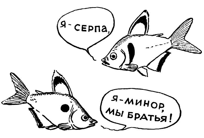 Мы и её величество ДНК img_20.png