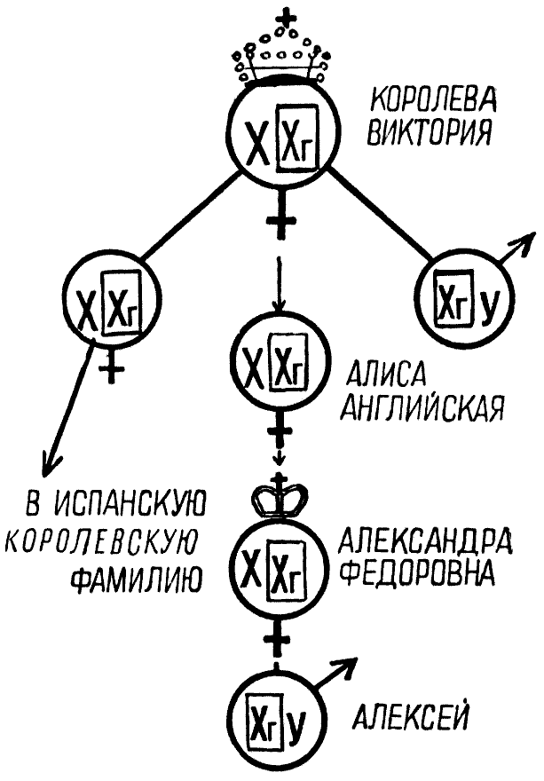 Мы и её величество ДНК img_83.png