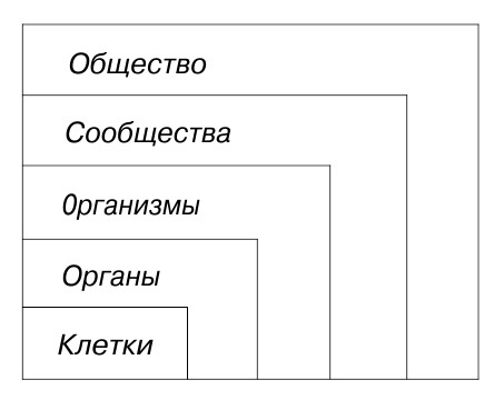 Алгоритмы разума img_6.jpg