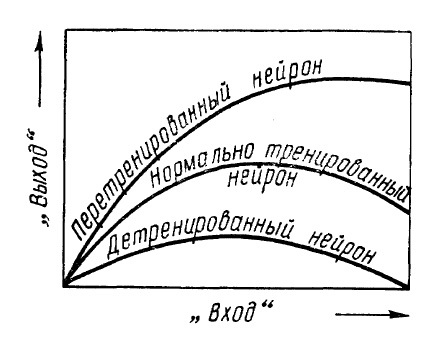 Алгоритмы разума img_8.jpg