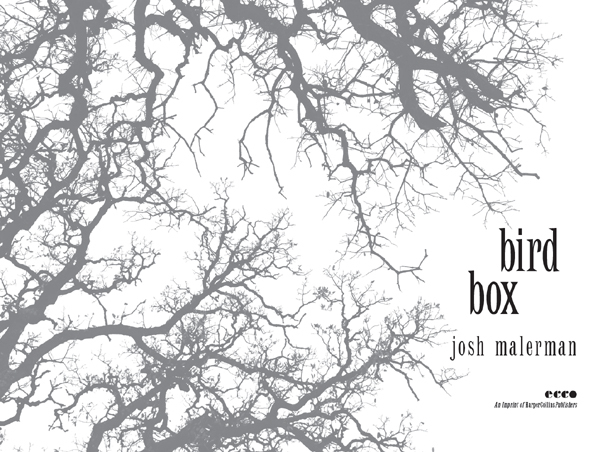 Bird box _1.jpg
