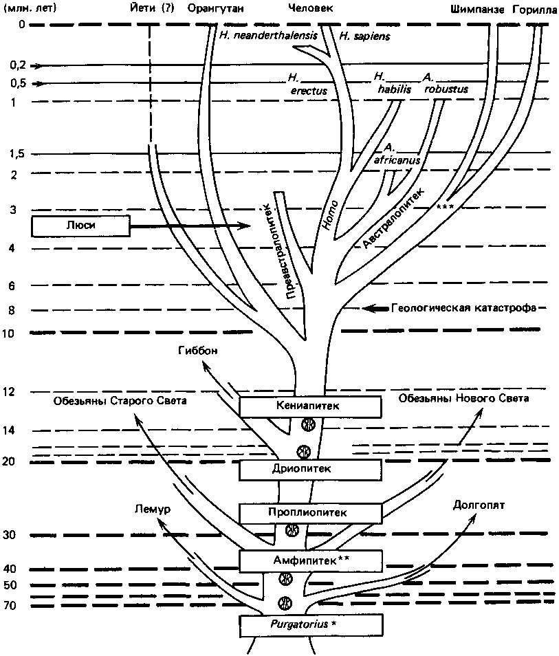 Что такое психология img_16.png