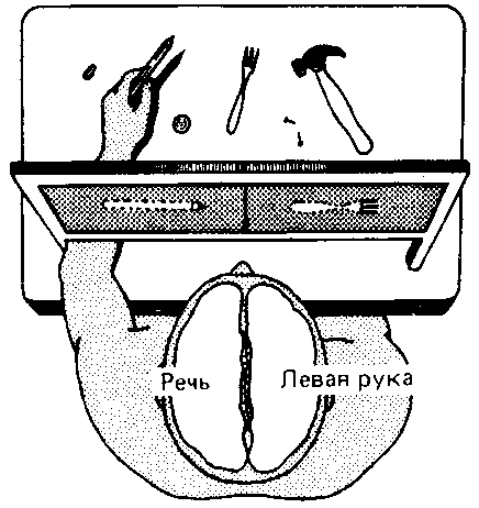 Что такое психология img_261.png