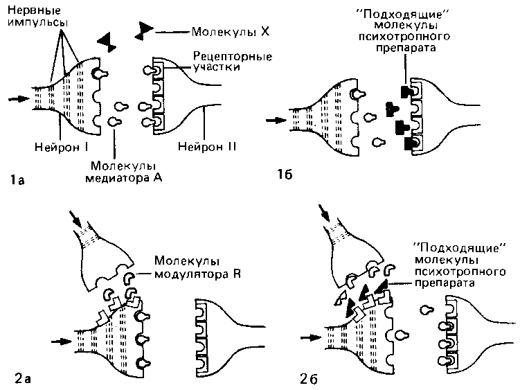 Что такое психология img_265.png