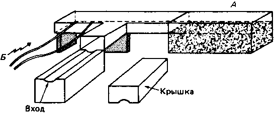 Что такое психология img_6.png