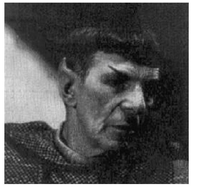 Я — Спок i101-leonard_nimoy_i_am_spock-103.jpg