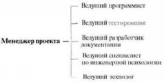 Время — деньги. Создание команды разработчиков программного обеспечения pic31.jpg