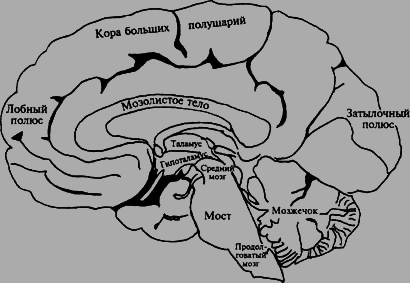 Психология i_008.png