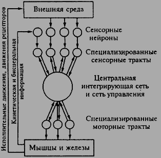 Психология i_010.png