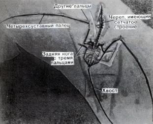 История Земли img_102.jpeg